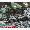 19. Hannover 96 - Glubb - 1-0